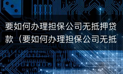要如何办理担保公司无抵押贷款（要如何办理担保公司无抵押贷款呢）