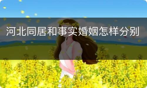 河北同居和事实婚姻怎样分别