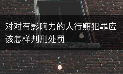 对对有影响力的人行贿犯罪应该怎样判刑处罚