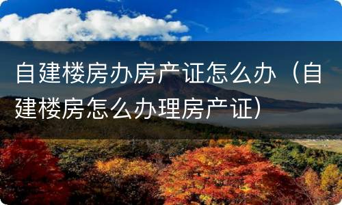 自建楼房办房产证怎么办（自建楼房怎么办理房产证）