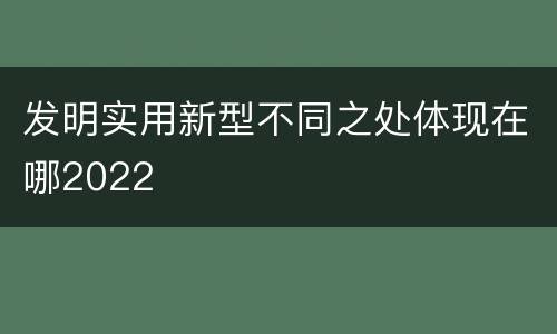 发明实用新型不同之处体现在哪2022