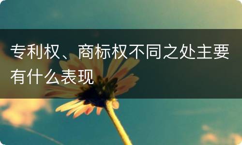 专利权、商标权不同之处主要有什么表现