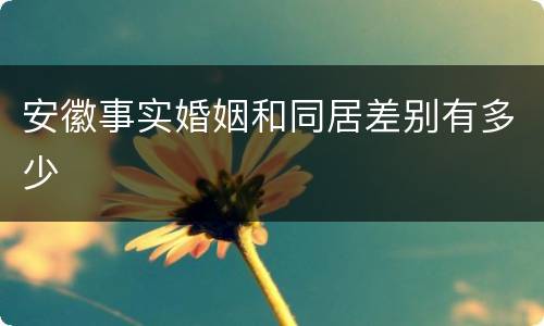 安徽事实婚姻和同居差别有多少