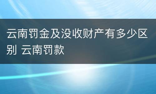 云南罚金及没收财产有多少区别 云南罚款