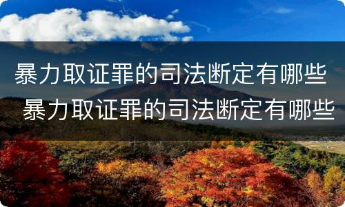 暴力取证罪的司法断定有哪些 暴力取证罪的司法断定有哪些规定