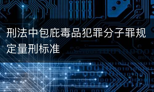 刑法中包庇毒品犯罪分子罪规定量刑标准