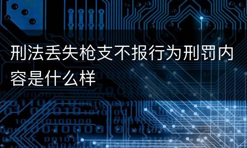 刑法丢失枪支不报行为刑罚内容是什么样
