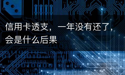 信用卡透支，一年没有还了，会是什么后果