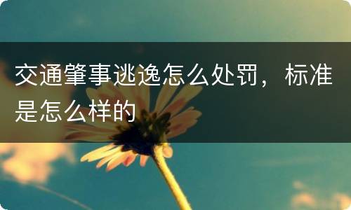 交通肇事逃逸怎么处罚，标准是怎么样的