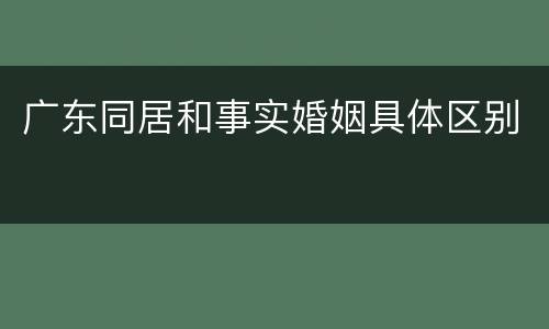 广东同居和事实婚姻具体区别