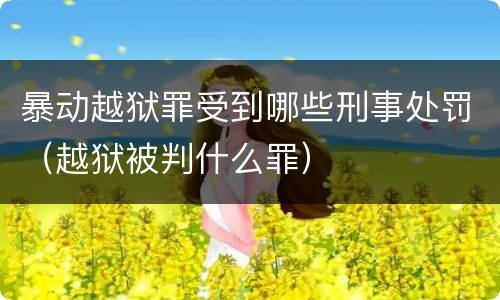 暴动越狱罪受到哪些刑事处罚（越狱被判什么罪）