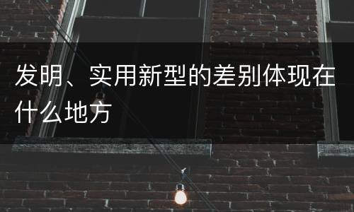 发明、实用新型的差别体现在什么地方