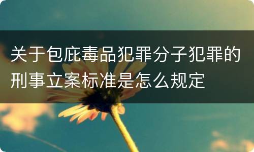 关于包庇毒品犯罪分子犯罪的刑事立案标准是怎么规定