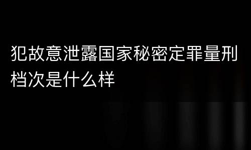 犯故意泄露国家秘密定罪量刑档次是什么样