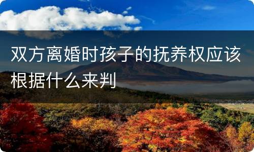 双方离婚时孩子的抚养权应该根据什么来判