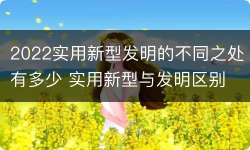 2022实用新型发明的不同之处有多少 实用新型与发明区别
