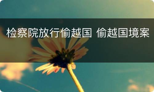 检察院放行偷越国 偷越国境案