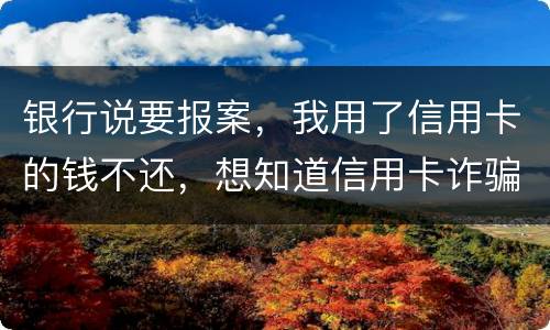 银行说要报案，我用了信用卡的钱不还，想知道信用卡诈骗会判几年