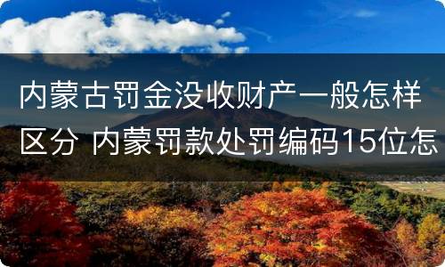 内蒙古罚金没收财产一般怎样区分 内蒙罚款处罚编码15位怎么缴纳