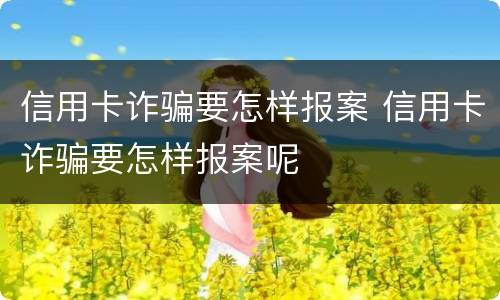 信用卡诈骗要怎样报案 信用卡诈骗要怎样报案呢
