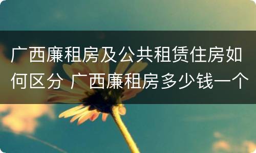 广西廉租房及公共租赁住房如何区分 广西廉租房多少钱一个月