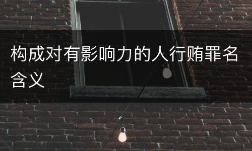 构成对有影响力的人行贿罪名含义