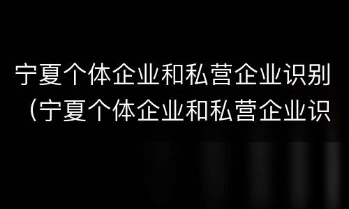 宁夏个体企业和私营企业识别（宁夏个体企业和私营企业识别标准）