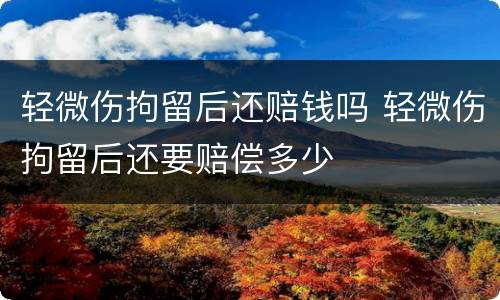 轻微伤拘留后还赔钱吗 轻微伤拘留后还要赔偿多少
