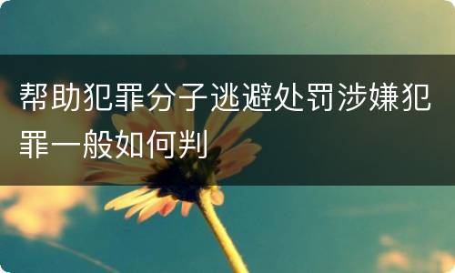 帮助犯罪分子逃避处罚涉嫌犯罪一般如何判