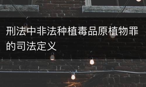 刑法中非法种植毒品原植物罪的司法定义