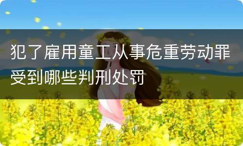 犯了雇用童工从事危重劳动罪受到哪些判刑处罚
