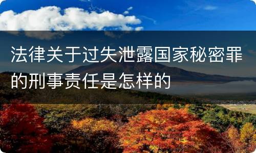 法律关于过失泄露国家秘密罪的刑事责任是怎样的