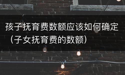 孩子抚育费数额应该如何确定（子女抚育费的数额）