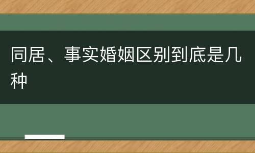 同居、事实婚姻区别到底是几种
