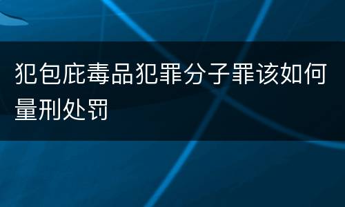 犯包庇毒品犯罪分子罪该如何量刑处罚