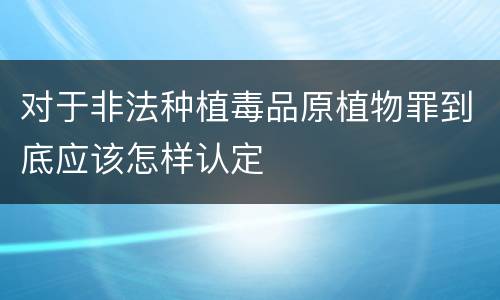 对于非法种植毒品原植物罪到底应该怎样认定