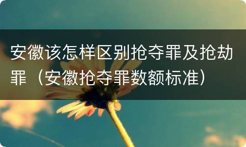 安徽该怎样区别抢夺罪及抢劫罪（安徽抢夺罪数额标准）