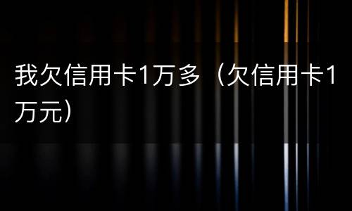我欠信用卡1万多（欠信用卡1万元）