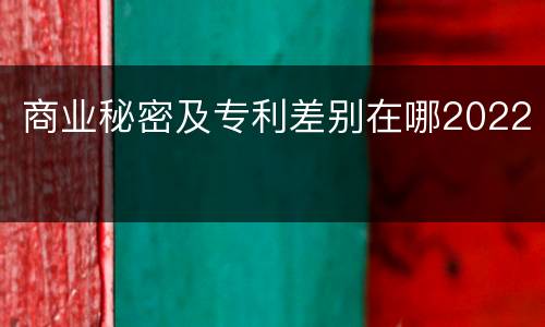 商业秘密及专利差别在哪2022
