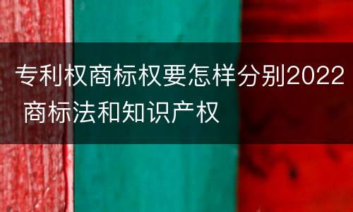 专利权商标权要怎样分别2022 商标法和知识产权