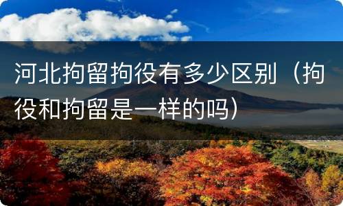 河北拘留拘役有多少区别（拘役和拘留是一样的吗）