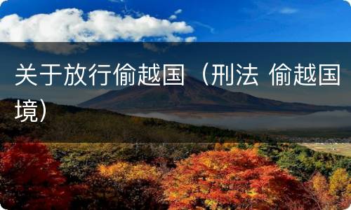 关于放行偷越国（刑法 偷越国境）