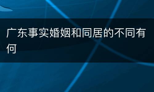 广东事实婚姻和同居的不同有何