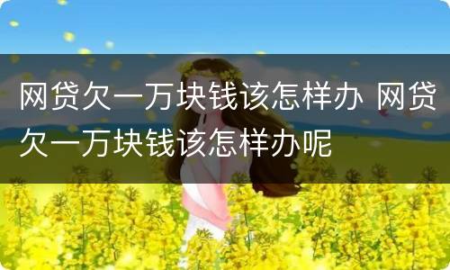 网贷欠一万块钱该怎样办 网贷欠一万块钱该怎样办呢