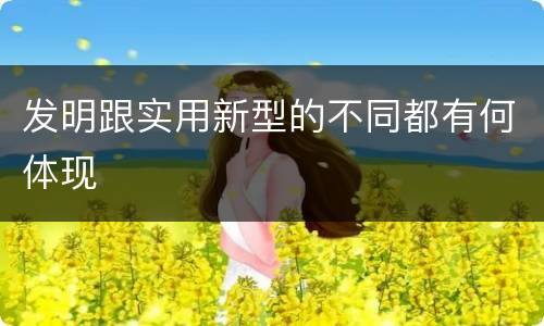 发明跟实用新型的不同都有何体现
