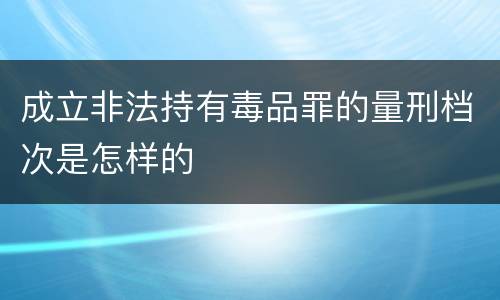 成立非法持有毒品罪的量刑档次是怎样的