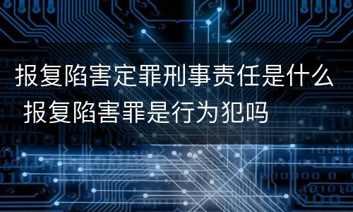 报复陷害定罪刑事责任是什么 报复陷害罪是行为犯吗