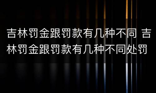吉林罚金跟罚款有几种不同 吉林罚金跟罚款有几种不同处罚