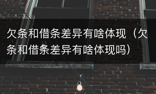 欠条和借条差异有啥体现（欠条和借条差异有啥体现吗）