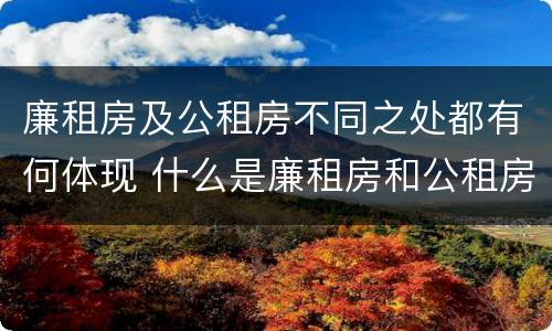 廉租房及公租房不同之处都有何体现 什么是廉租房和公租房两个有什么特点